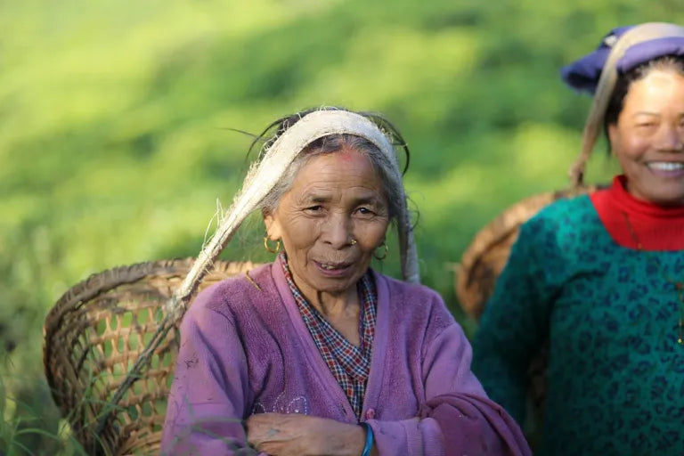 Nepal Tea: From Himalayan Tea Gardens to Your Cup