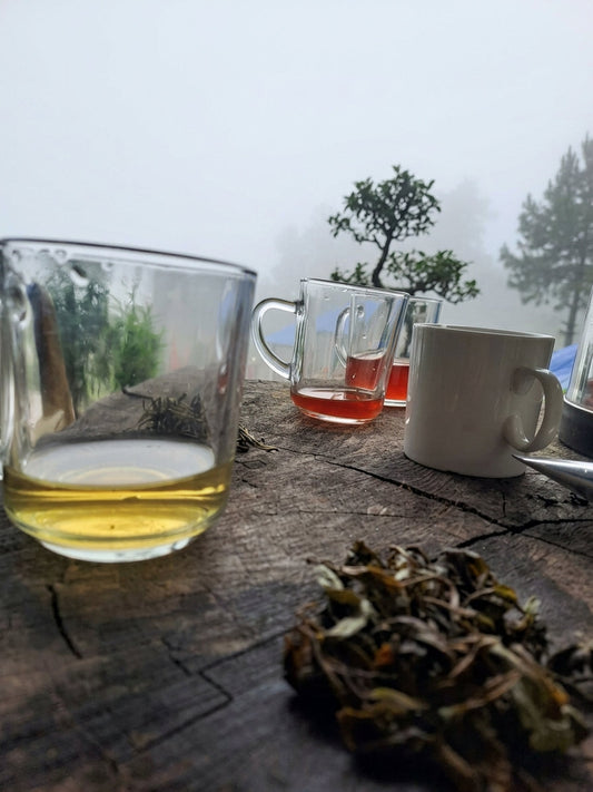 Buy Nepal Tea Online