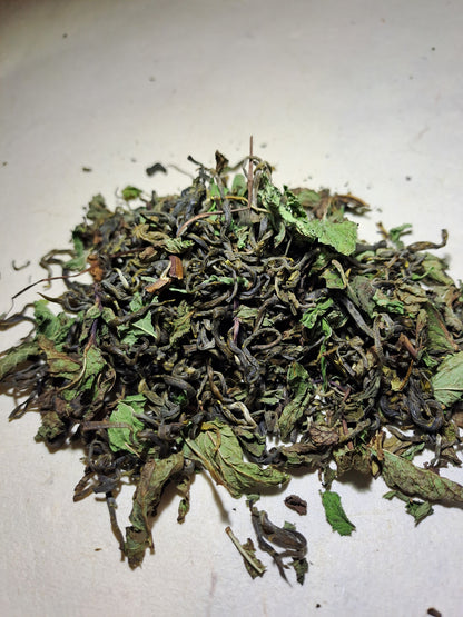 Spearmint Tea