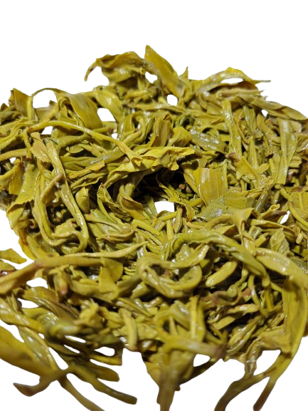 Green Tea