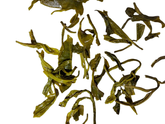 Green Tea