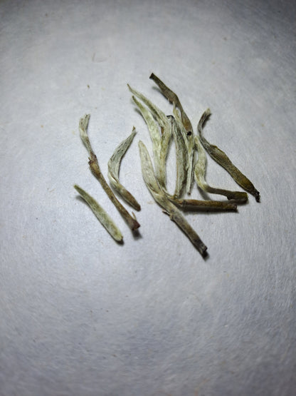 Silver Needle Tea