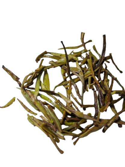 Silver Needle Tea