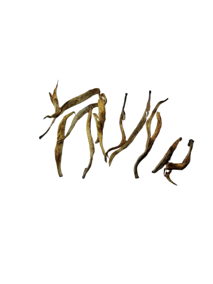 Golden Needle Tea