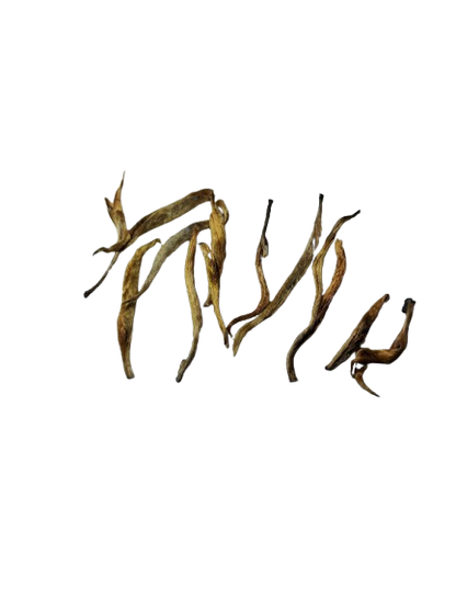 Golden Needle Tea