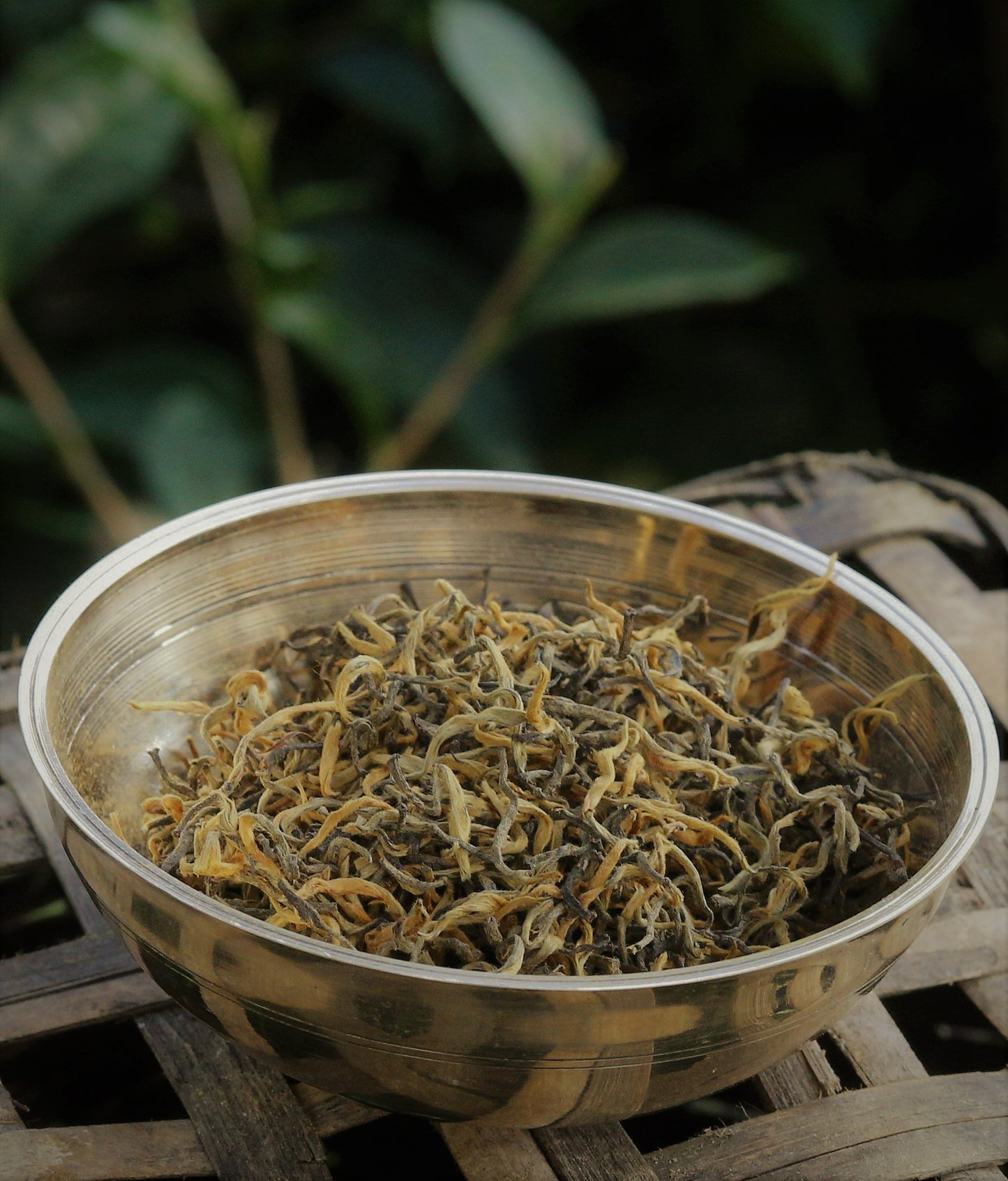 A small metallic bowl filled with dried, curly golden-brown herbal or tea-like strands, placed on a rustic wooden surface with a blurred green outdoor background.